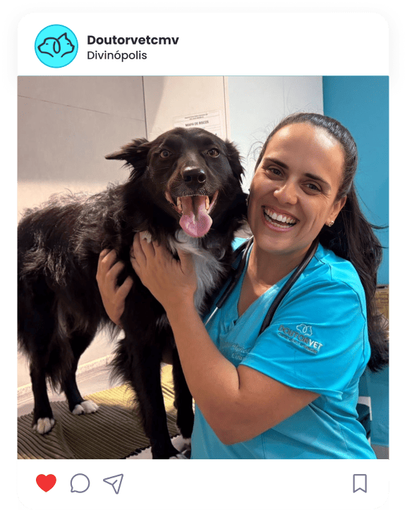 Doutor Pet www.doutorvet.com.br - Medicina veterinária de excelência e centro cirúrgico avançado em Divinópolis - Imagem - 0015